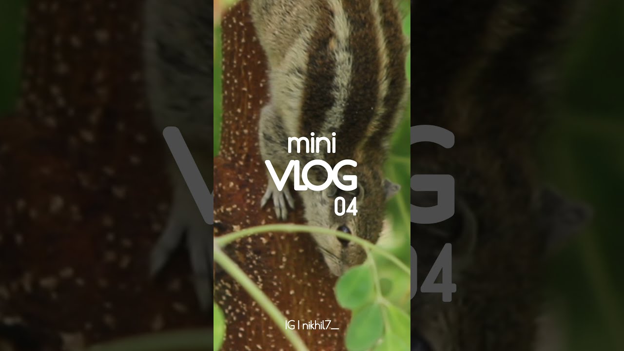 Mini Vlog 04 | Instagram reels | DJ Snake - You Are My High | Shot on Realme 8 | Zodiac