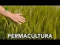 Permacultura qu es introduccin a la permacultura definicin