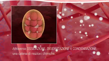 Cosa vuol dire glicazione?