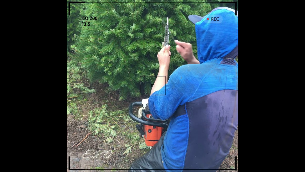 Se la rifan con el cerrucho (Oregon )