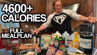 4600 Calories Full Day Of Eating | Most Important Video Ever