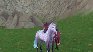 Meet Ayla and Umbra [SSO]