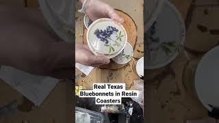 Real bluebonnets in resin #resin #resinart #epoxy #coasters #resincoasters #bluebonnets #etsy