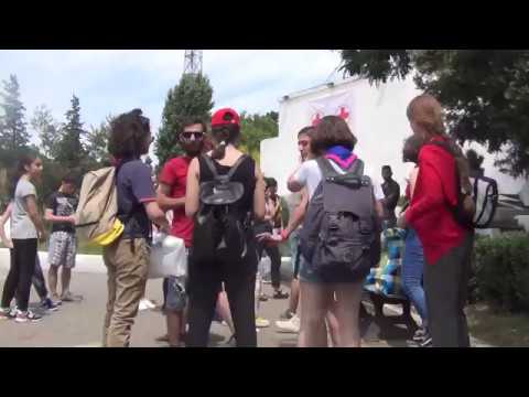 სკაუტები