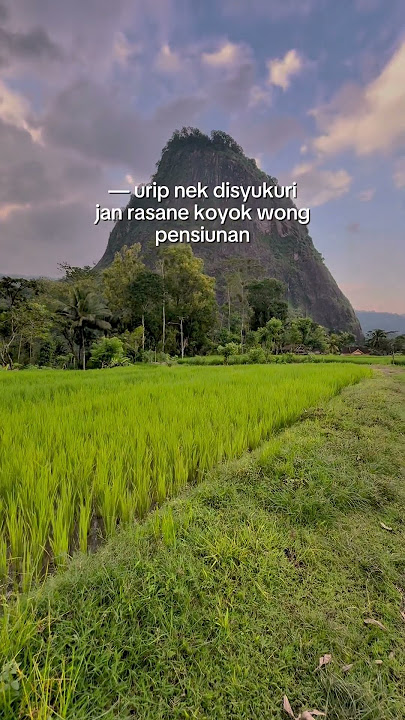 Story Wa Terbaru - Dini Kurnia