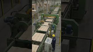 #Plywood #PlywoodFactory #WoodProcessing #PlywoodManufacturing #FactoryProcess #WoodIndustry