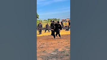 Sambung Kenaikan Tingkat Siswa PSHT Batam #shorts #psht