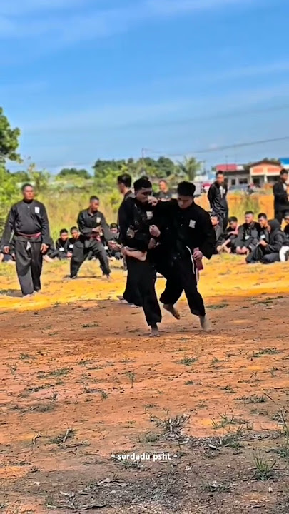 Sambung Kenaikan Tingkat Siswa PSHT Batam #shorts #psht