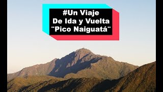 Un Viaje de Ida y Vuelta