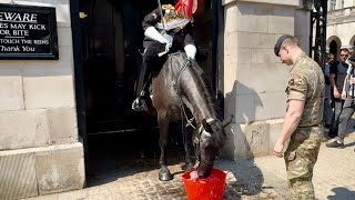 'Equine Humor: The King's Guard Horse Delights Tourists and Quenches its Thirst in the Hot Weather'