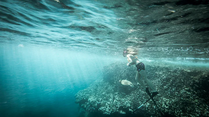 Don't Fear the Fin | Lisa Mondy: Shark Attack Survivor Story