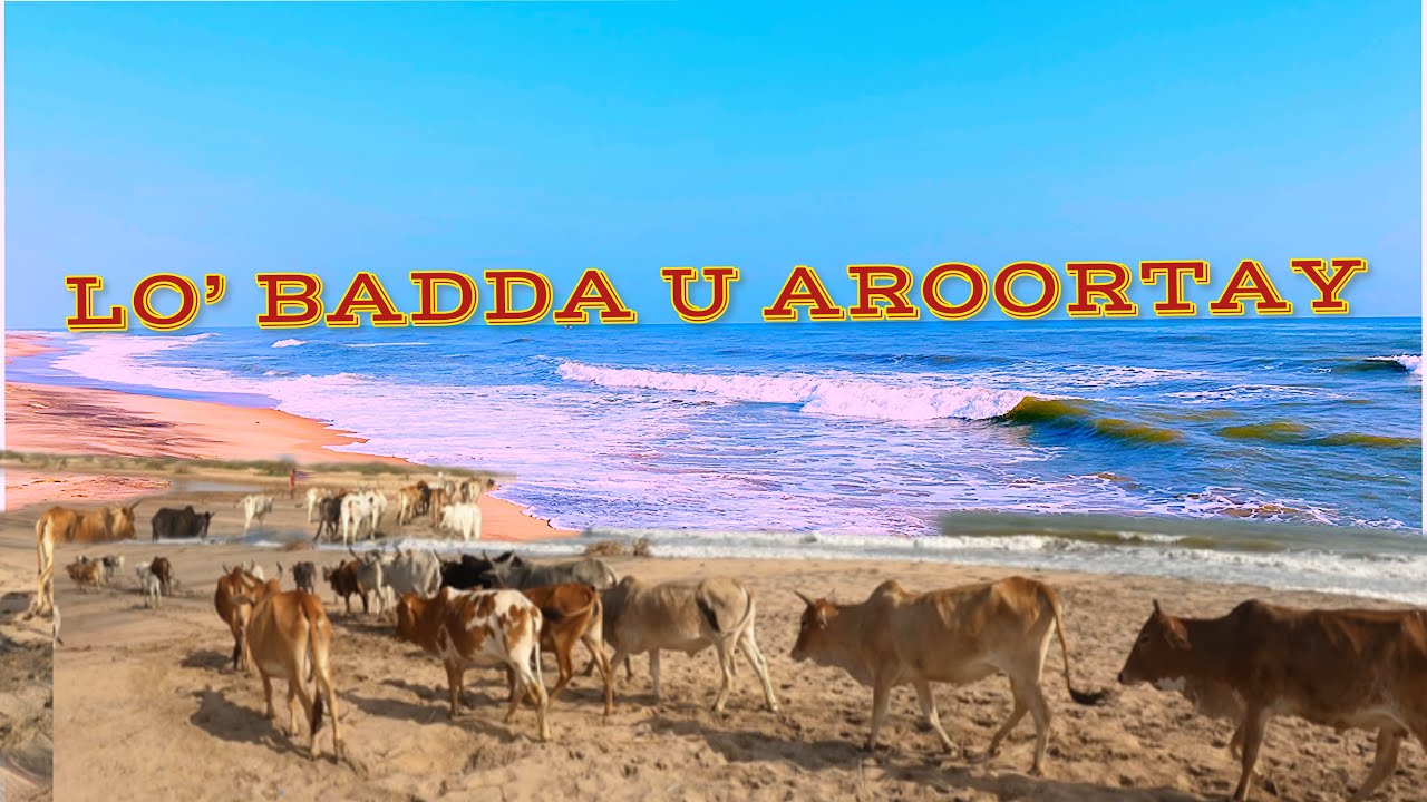 LO’  BADDA LAGA WARABINAYO ‘ #2024