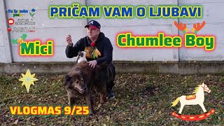 Puno dvorište prave ljubavi: Chumlee Boy i Mici | Jordan Creek VLOGMAS 2025. 9/25 | TULIPANSKA POSLA