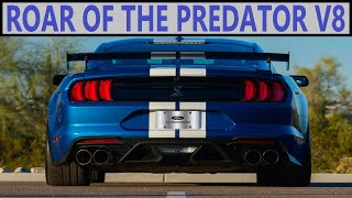 The Raw Sound of the Shelby GT500