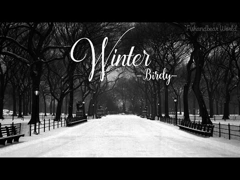 [Lyrics+Vietsub] Winter - Birdy