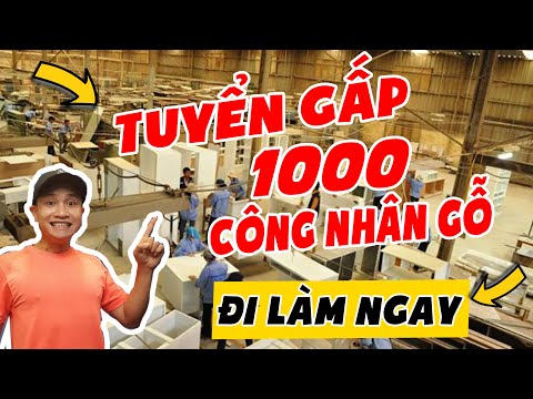 TUYỂN GẤP 1000 công nhân gia công gỗ tại Tân Uyên- Bình Dương| ANH CÔNG NHÂN | Foci