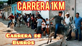 La Carrera de Burros más larga de Oaxaca, CORRIERON CASI 1km/ San Francisco Tlapancingo