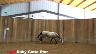 Hip No  1042   Ruby Gotta Star