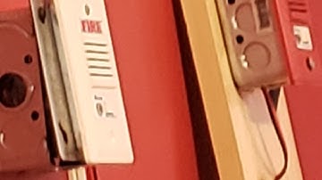 System Test 2.5: March Time!!