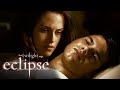 Jacob Fights for Bella’s Heart | Twilight Saga: Eclipse | Kristen Stewart, Taylor Lautner