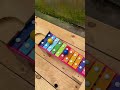 Colorful Marble Race on Crazy Wooden Track And Bowl track | big bag marble #marblerun #marblesrace