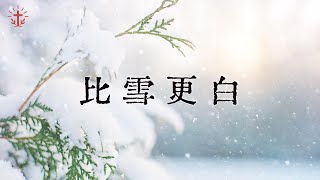 比雪更白 | 敬拜诗歌