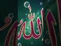 Islamic dpz collection ❤️ || Allah Muhammad name dp images for WhatsApp #allah #love
