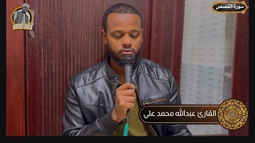 ايات من سورة القصص || تلاوه جميله للمبدع دوما || القارئ عبدالله محمد علي
