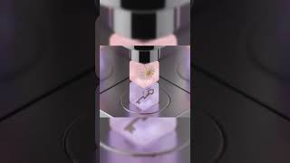 Translucent Cubes of Light | Macro Extrusion of Miniature Worlds