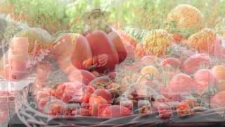 Campo Experimental- Ahern