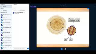 Конструкции из дерева и пластмасс 06.10.2022 лекция 3 Древесина как конструкционный материал