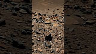 Images from Mars 2025