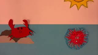Intertidal Stop Motion Ecosystem