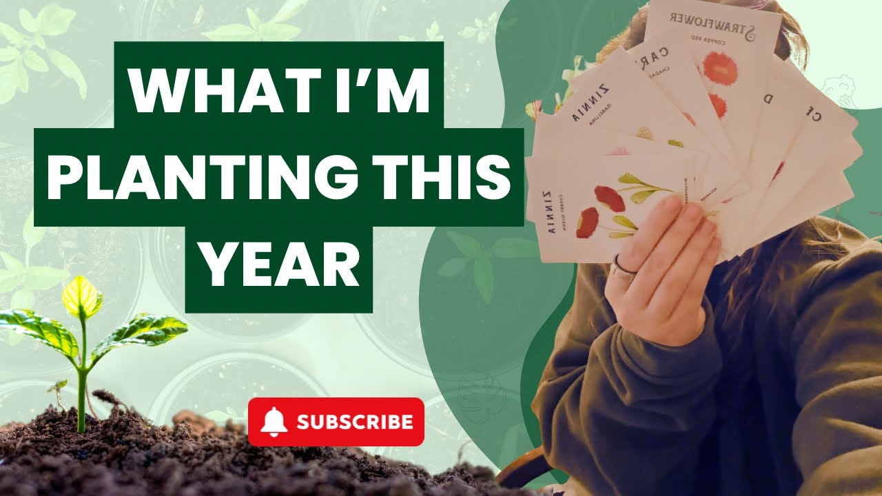 My 2026 Garden Seed Haul | What I’m Planting This Spring