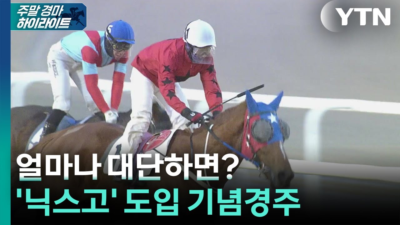 [주간 경마] 얼마나 대단하면? 닉스고 도입 기념경주 / YTN