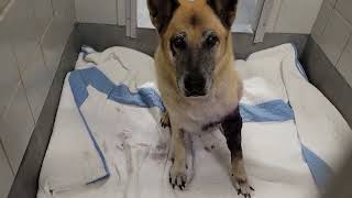 acs A690564