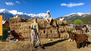 ЖИЗНЬ В ГОРНОЙ ДЕРЕВНЕ. Куры начали нестись! Запаслись сеном на зиму. Встреча гостей Жизнь в деревне