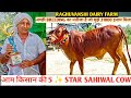 आम किसान की SAHIWAL बचिया ने किया नाम रोशन | MUZAFFARNAGAR ASHU MELA में जीता 31000 धन राशि पुरष्कार