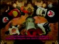 31 minutos Canción Ratoncitos ♫