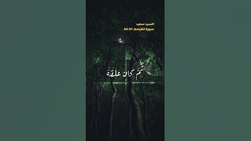 اخر سورة القيامه الآية 37-40