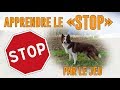 TUTORIEL Apprendre le "STOP" par le Jeu