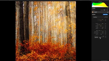 Luminar Sun Rays Filter