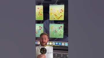 Dumb AI Images Making $11K/Month?! (850K on Etsy with Printful)