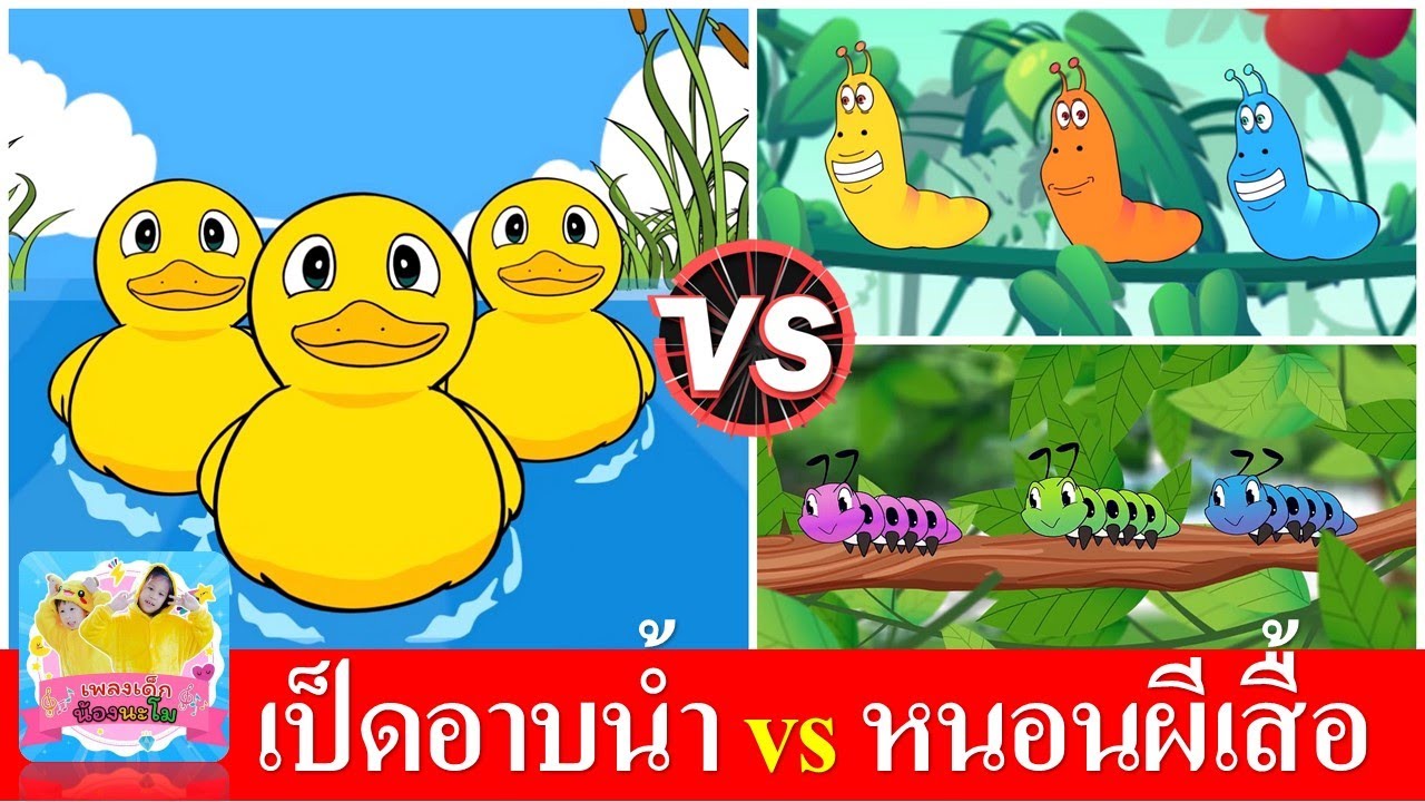 เป็ดอาบน้ำ vs หนอนผีเสื้อ