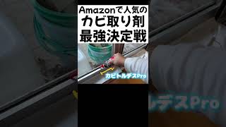 Amazonで人気のカビ取り剤最強決定戦！！