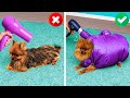 HOW TO BE PERFECT DOG OWNER || Clever And Heart-Warming Pet Gadgets And Crafts For The Loved Ones