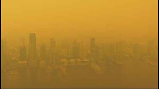 LIVE: What NYC looks like right now thanks to wildfire smoke