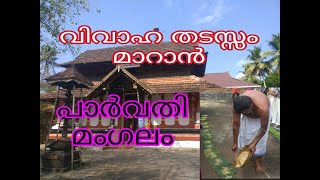 വിവാഹ തടസ്സം മാറാൻ പാർവതി മംഗലം വഴിപാടും -തൃപ്പക്കുടം മഹാദേവക്ഷേത്രം- thrippakudam temple