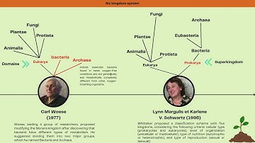 Cours de Biosystématique Végétale 1 : L