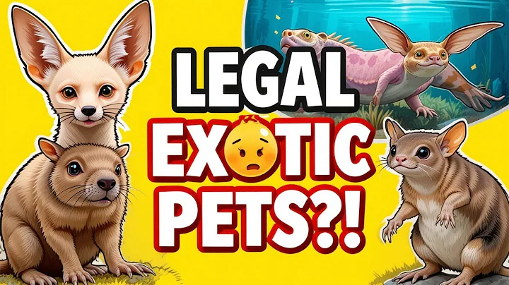 7 Rare Exotic Pets You Can Legally Own thumbnail